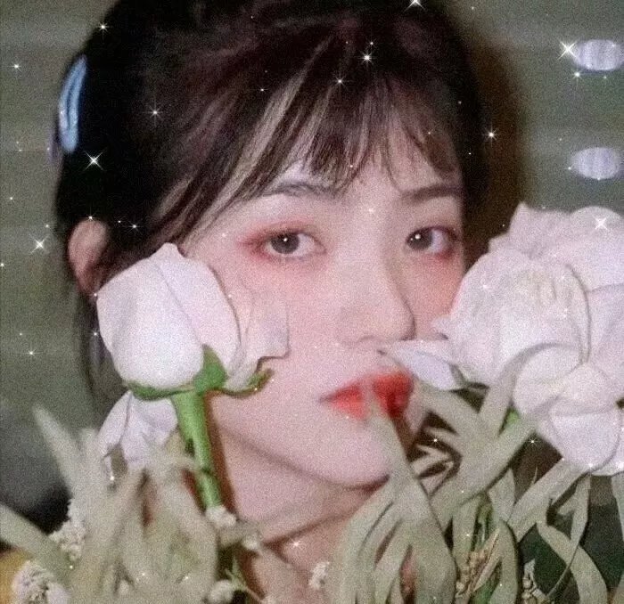 我和格瓦拉的故事